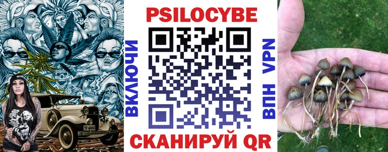 Псилоцибиновые грибы Magic Shrooms это наркотические препараты Осташков